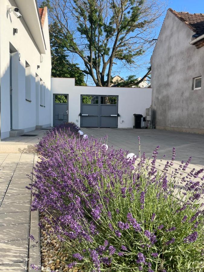 Dream Apartman Levél Exteriör bild