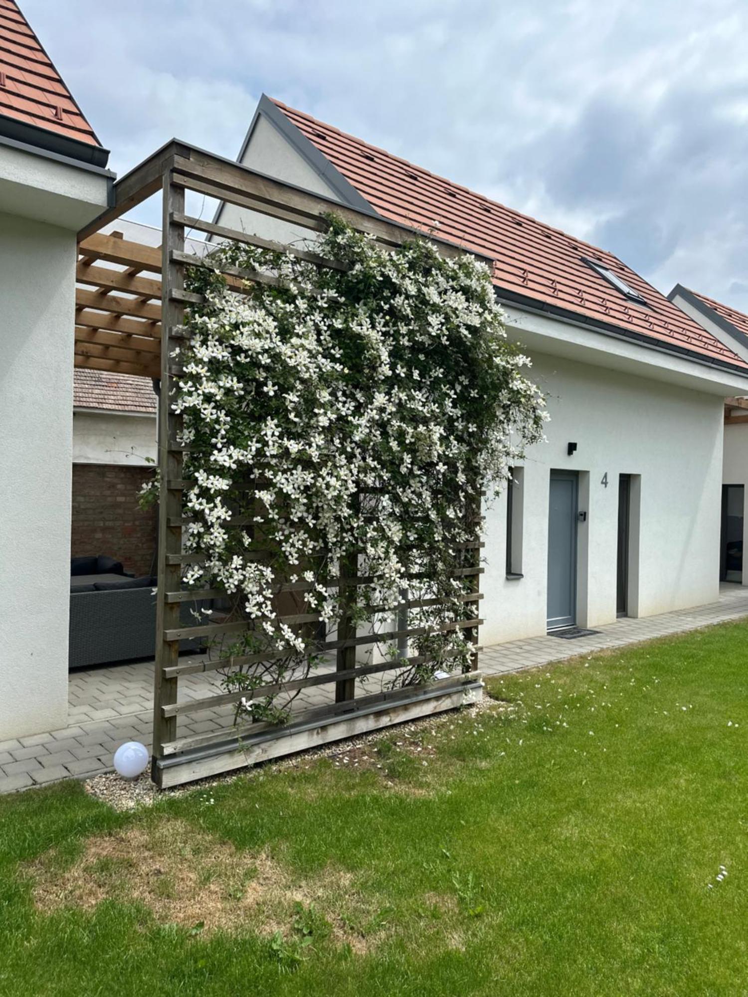 Dream Apartman Levél Exteriör bild